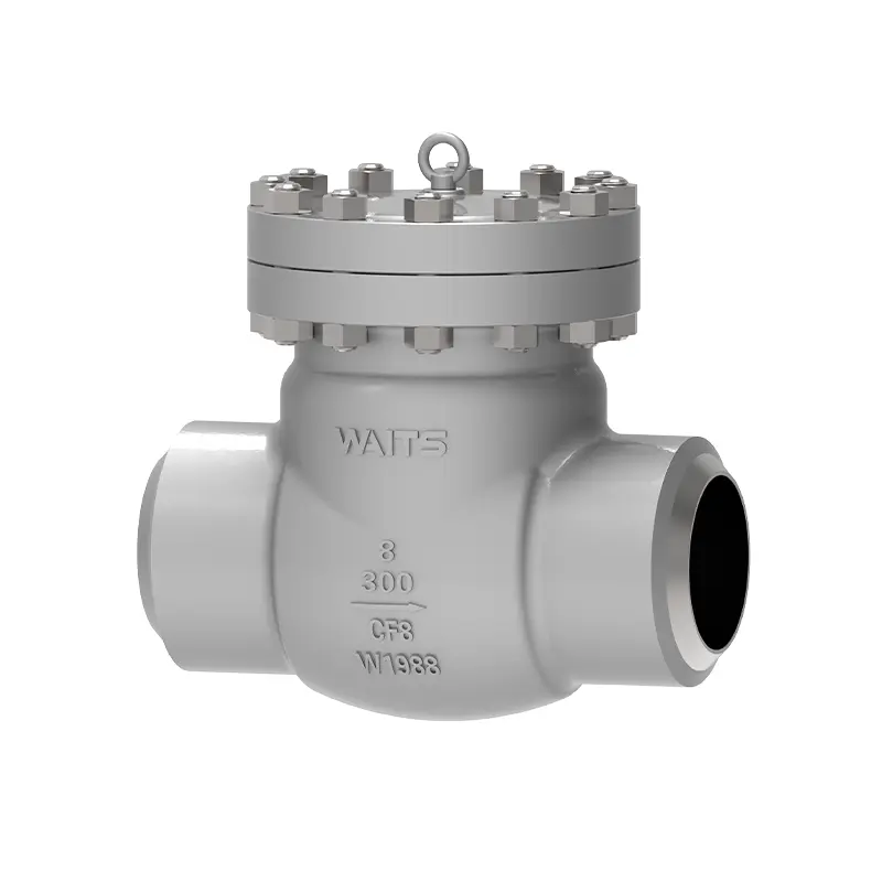 Cryogenic swing check valve