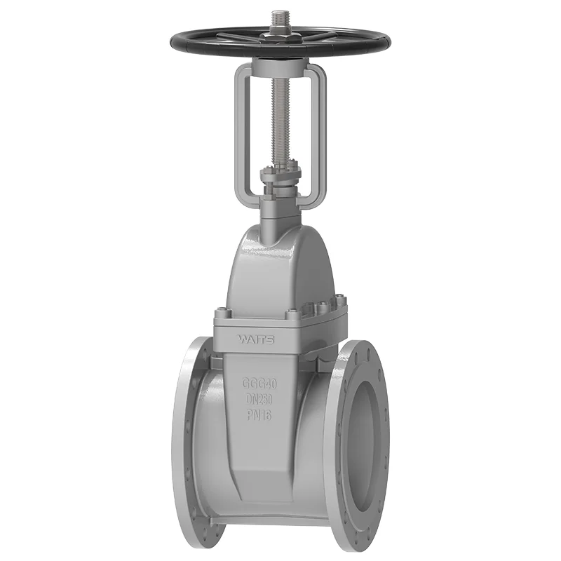 Rising Stem Resilient Seated Gate Valve Rising Stem Resilient Seated Gate Valve